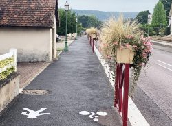 piste cyclable 4